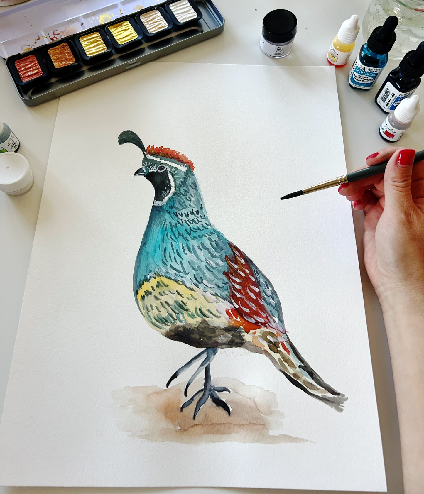 Watercolor Gambel's Quail original