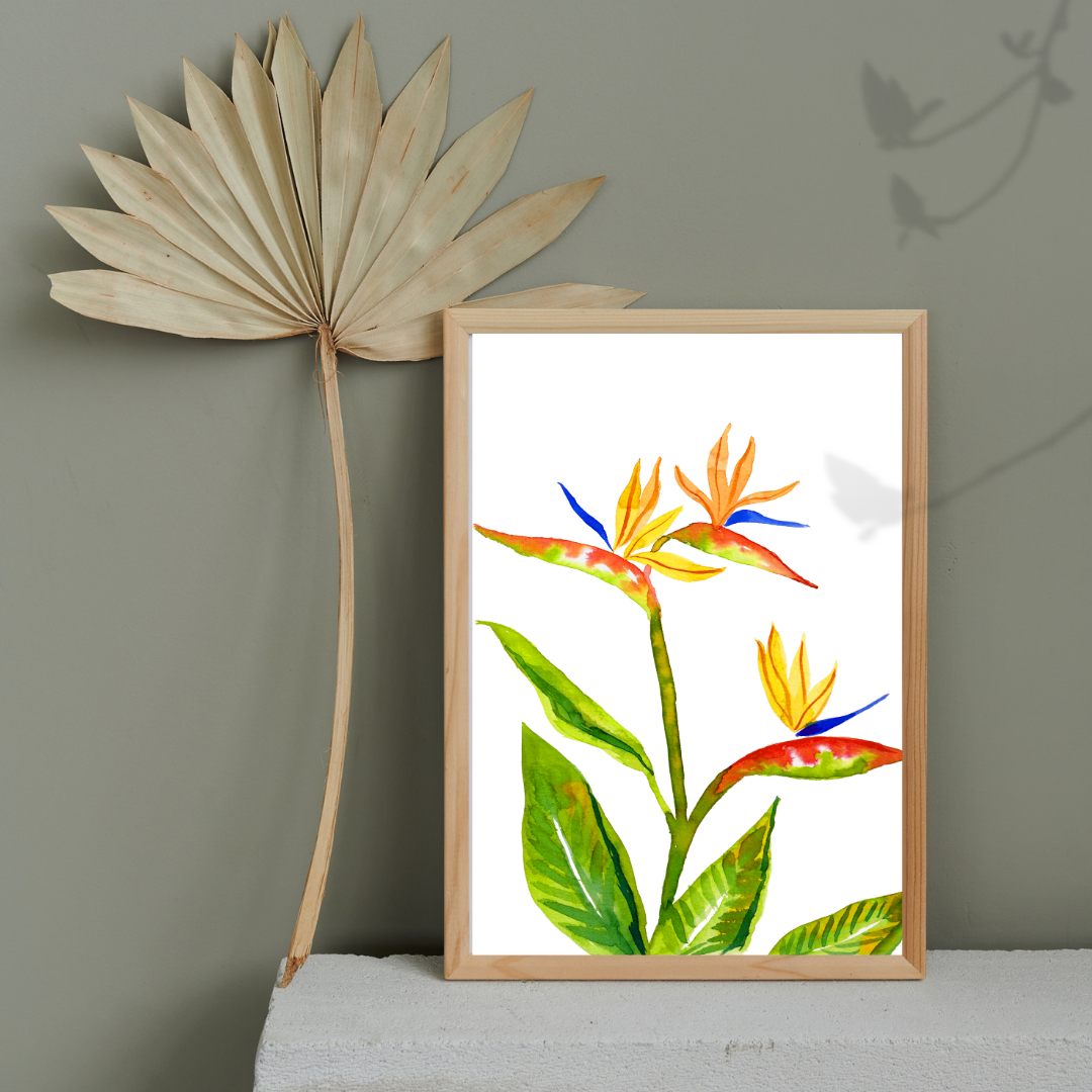 Bird of Paradise Flower Watercolor Print