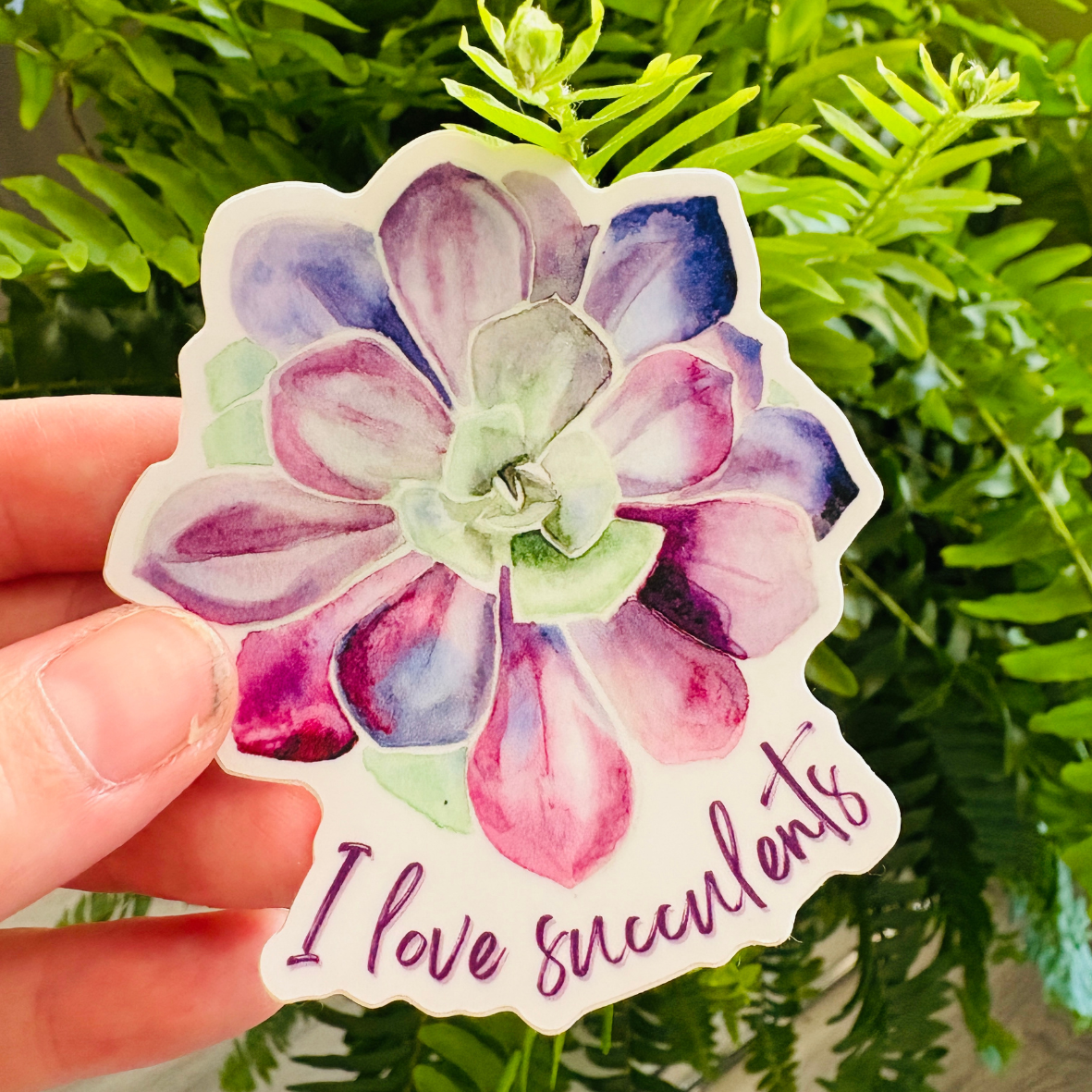 Succulent Vinyl Sticker