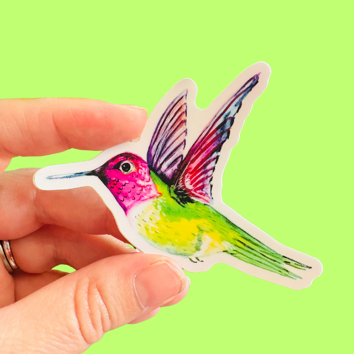 Hummingbird Sticker