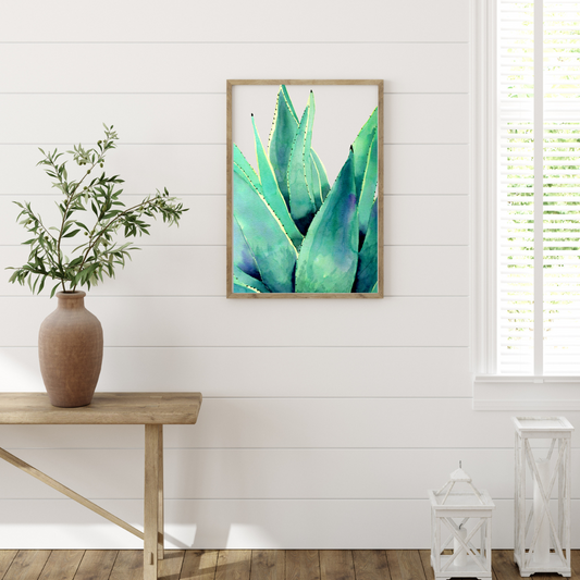 Aloe Vera Art Print