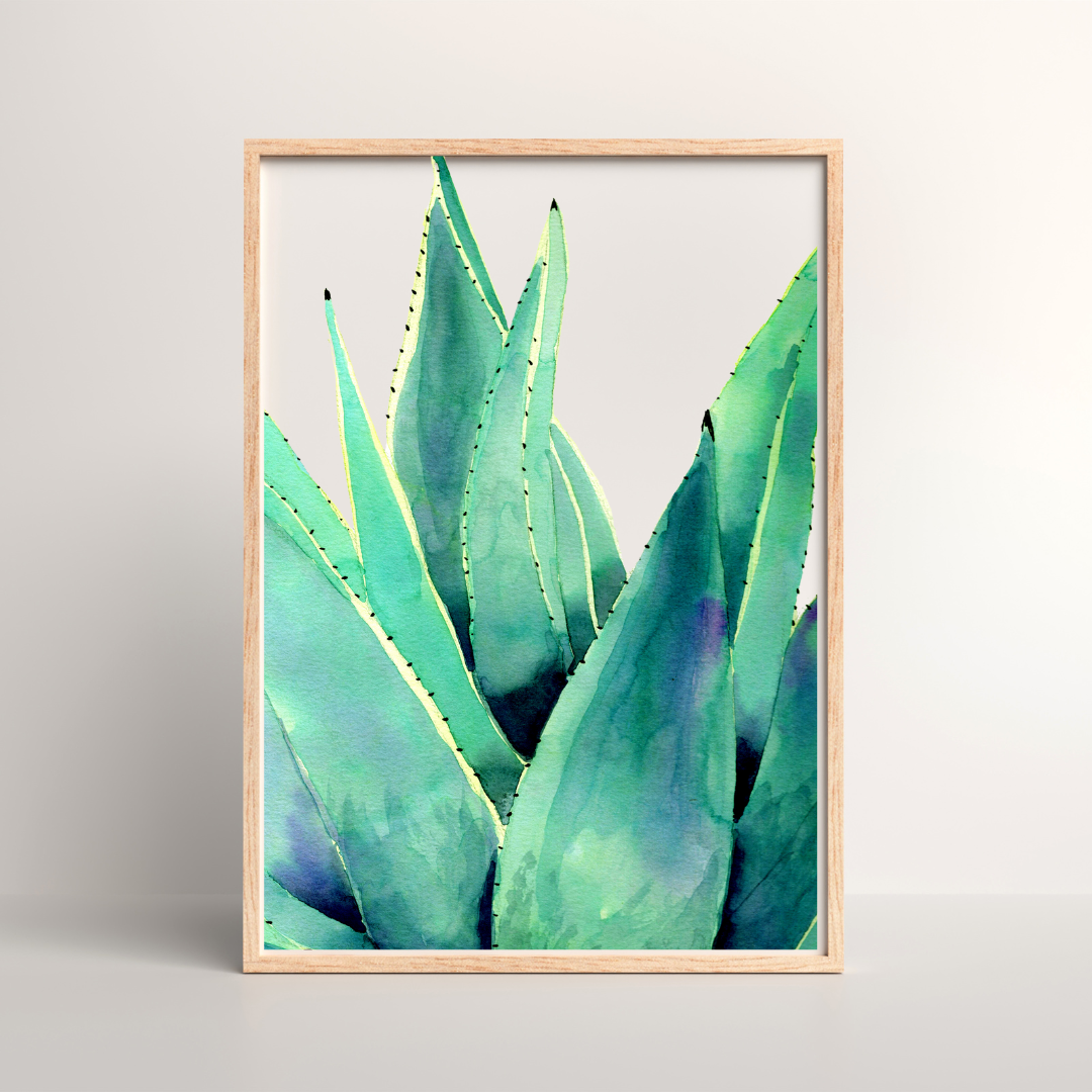 Aloe Vera Art Print