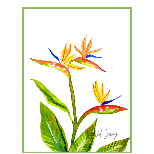 Colorful tropical flower illustration with green leaves on a white background