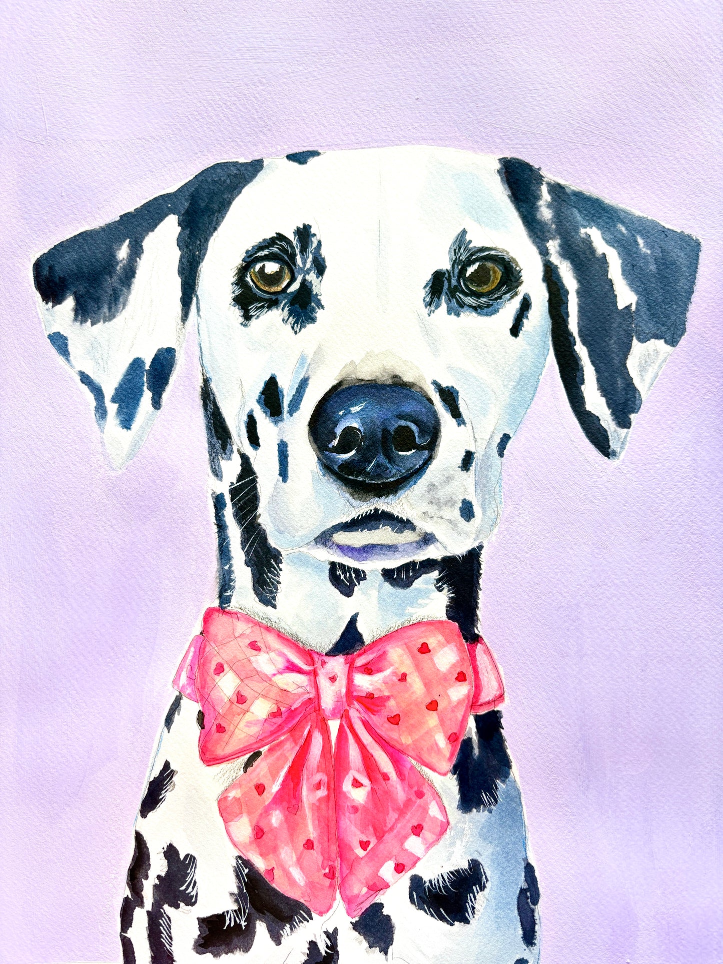 Dalmatian dog with a pink bow on a light purple background