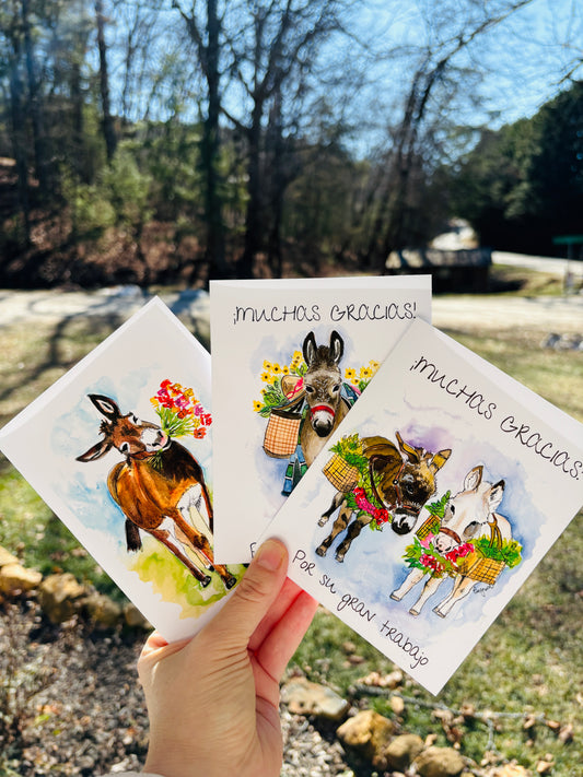 Three greeting cards with watercolor illustrations of donkeys with flowers, held in a hand against a natural background.