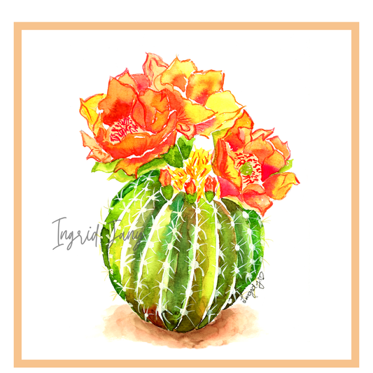 Colorful cactus with flowers on a white background