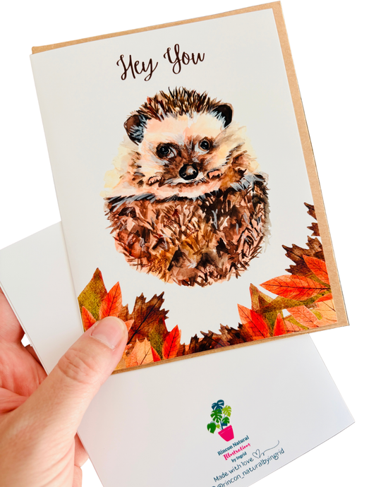 himsical hedgehog hello greeting card for animal lovers and fans of cute illustrated stationery