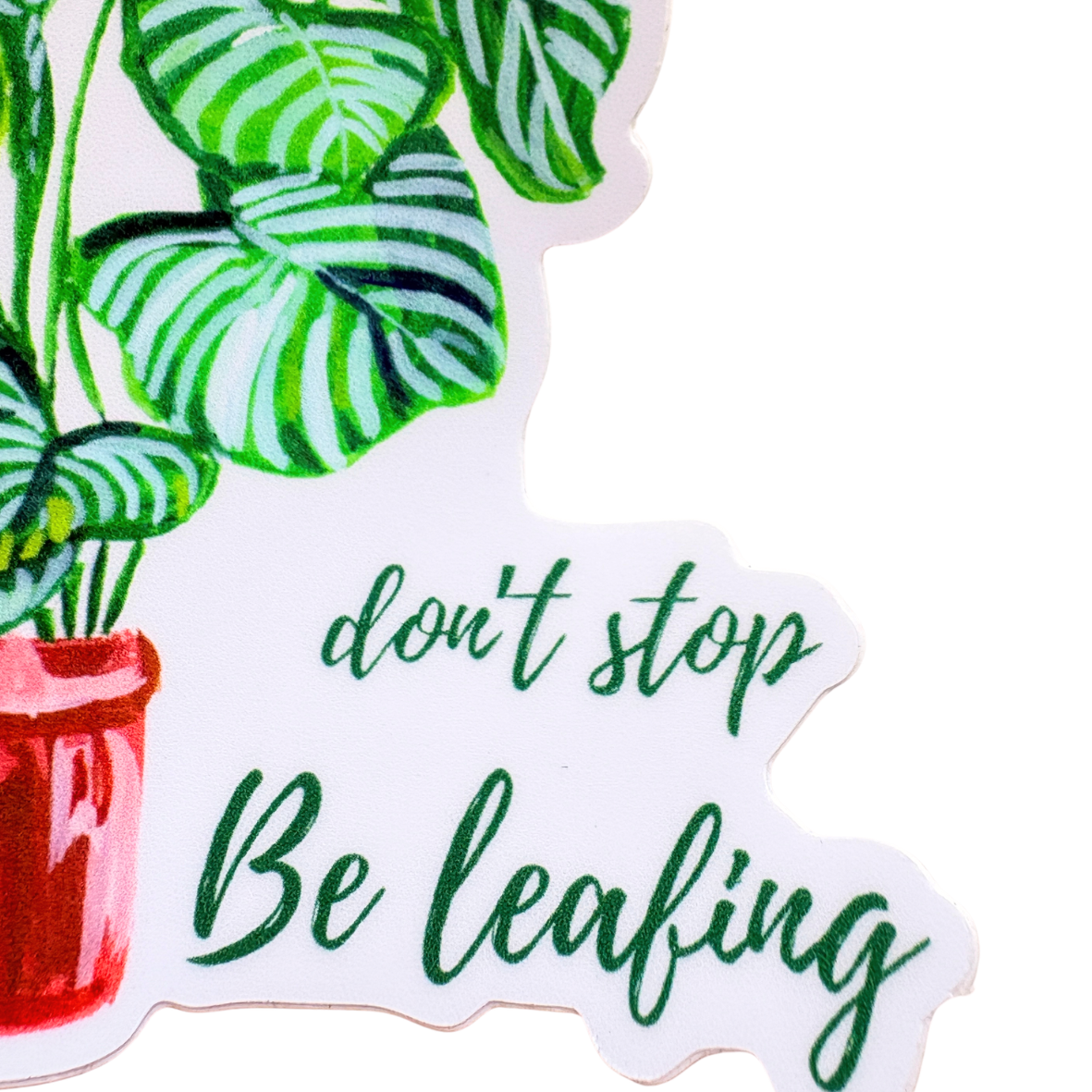 Sticker with a plant and text 'don't stop Be leafing' on a white background