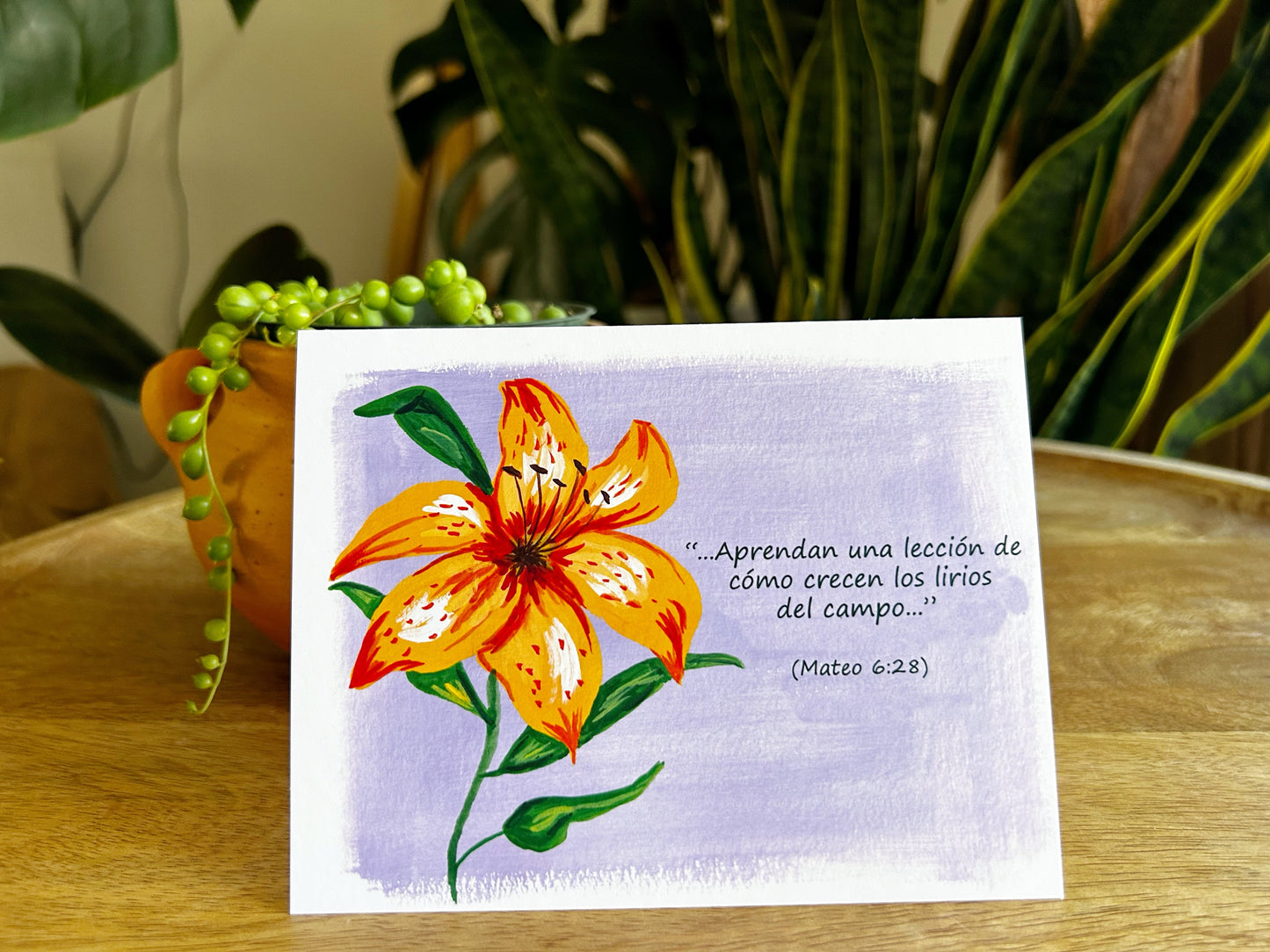 Assorted Greetings Cards Encouragement and Comfort Pack of 5