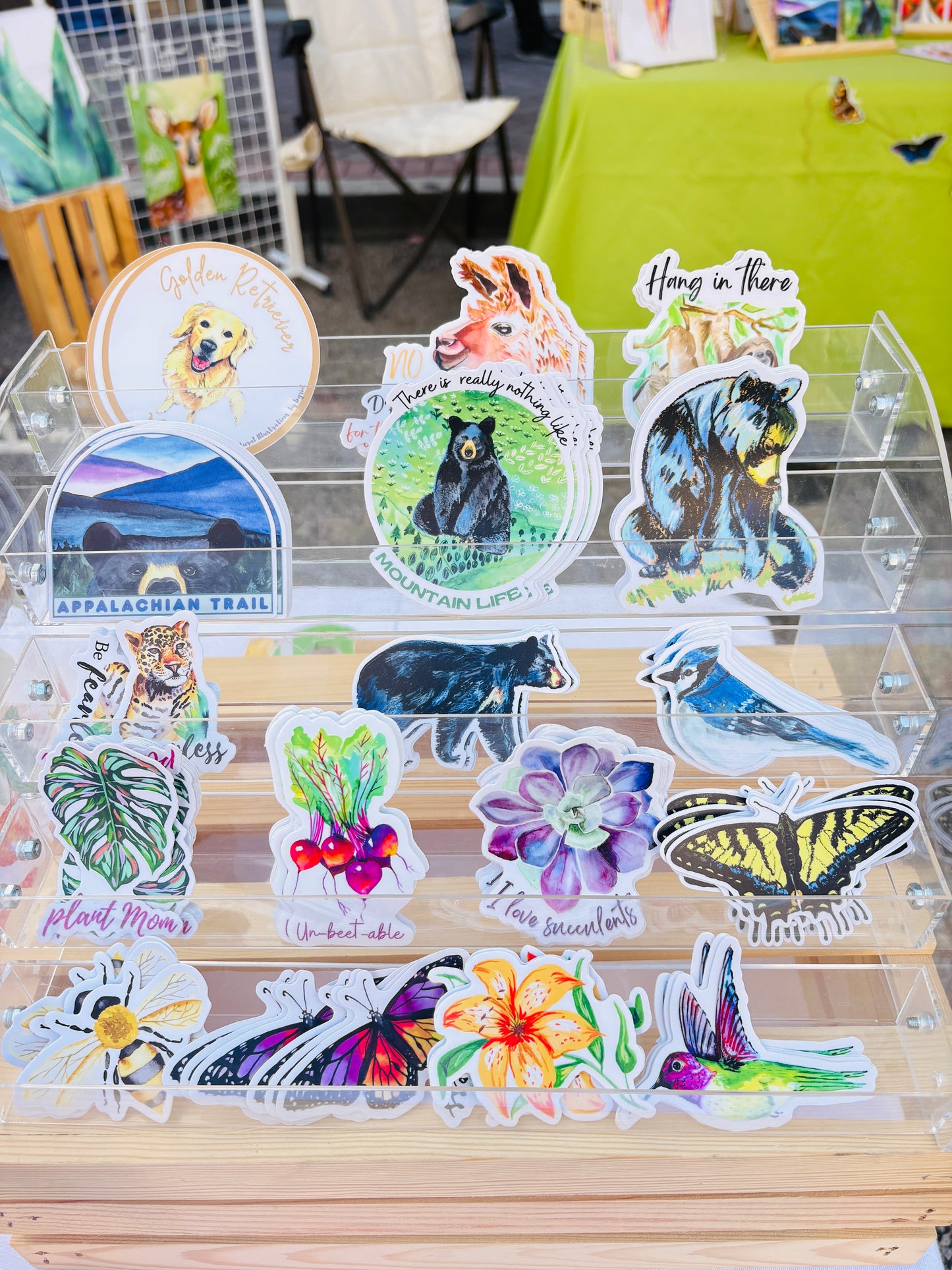 Wandering  Black bear Sticker