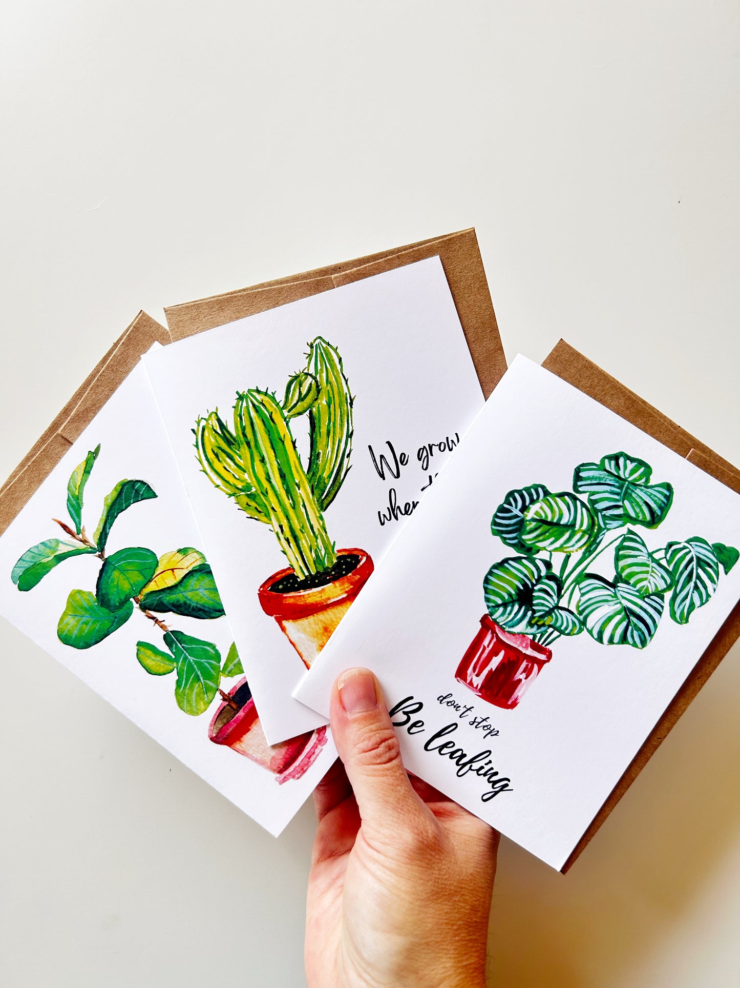 House plants greeting Cards Set of 3