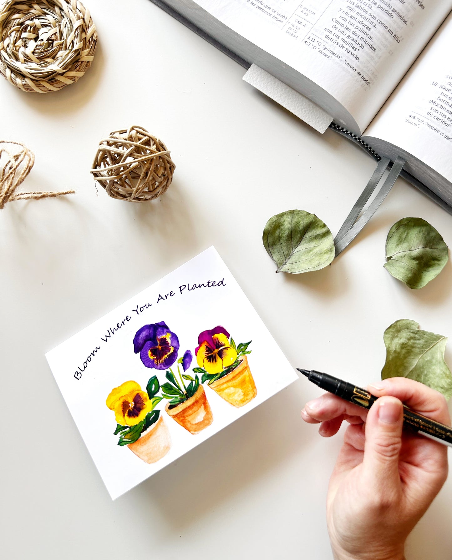 Colorful Pansies Greeting Cards Set of 3