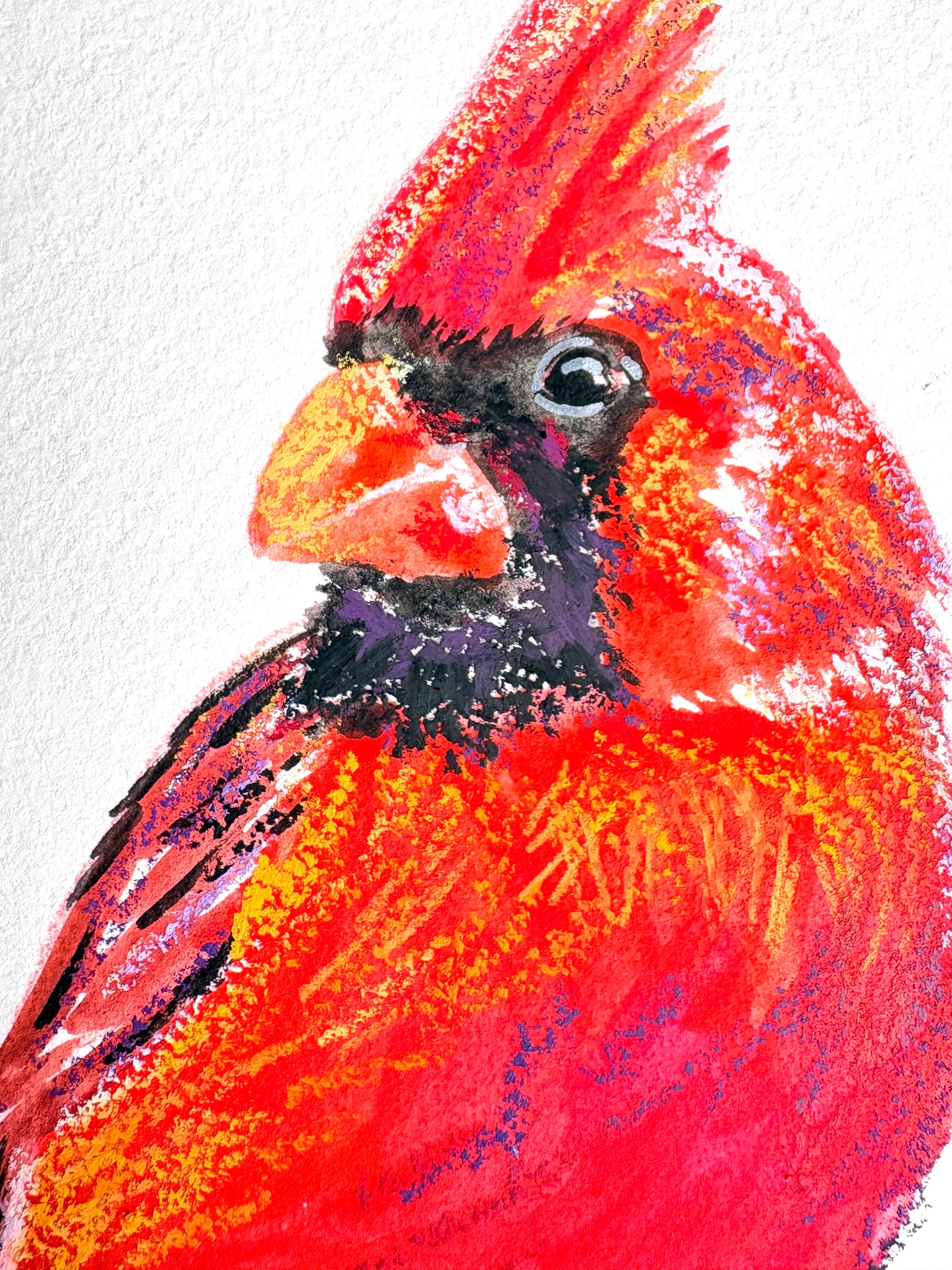 Cardinal oil pastel print