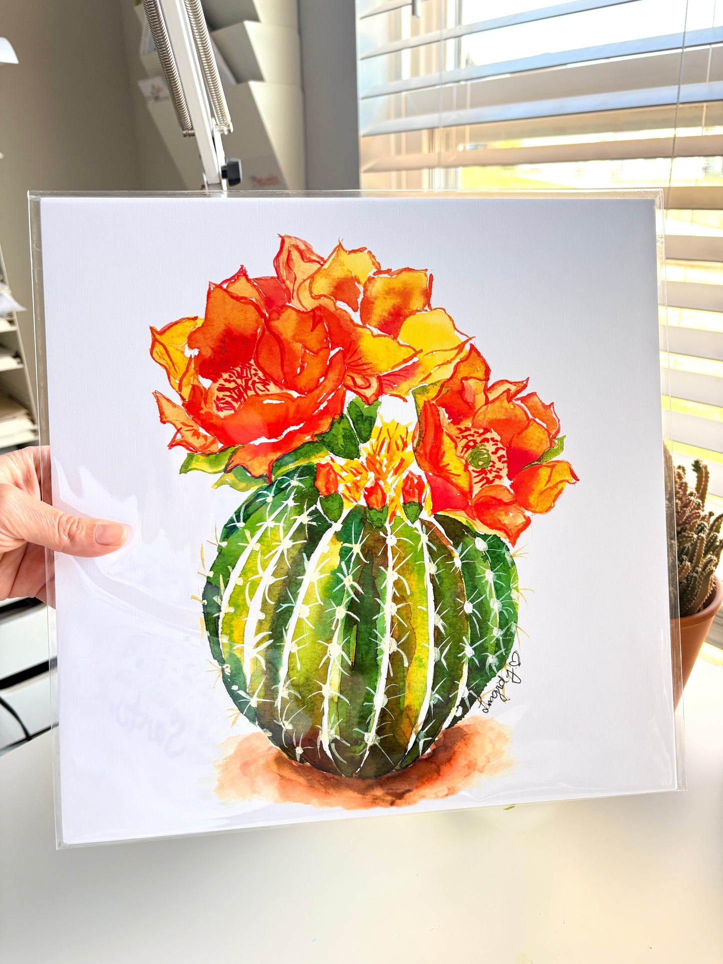 Golden Barrel Cactus in Bloom Print
