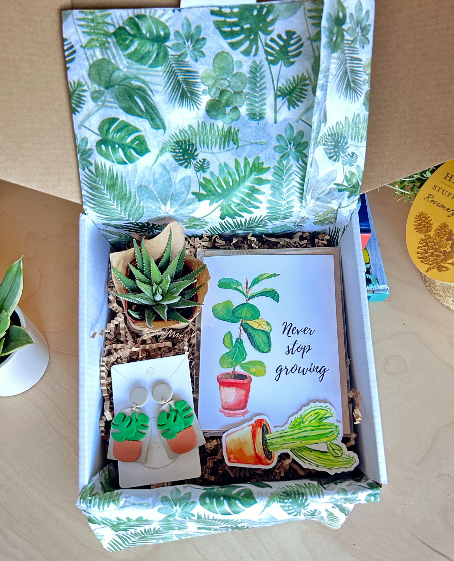 Plant lover Gift Box