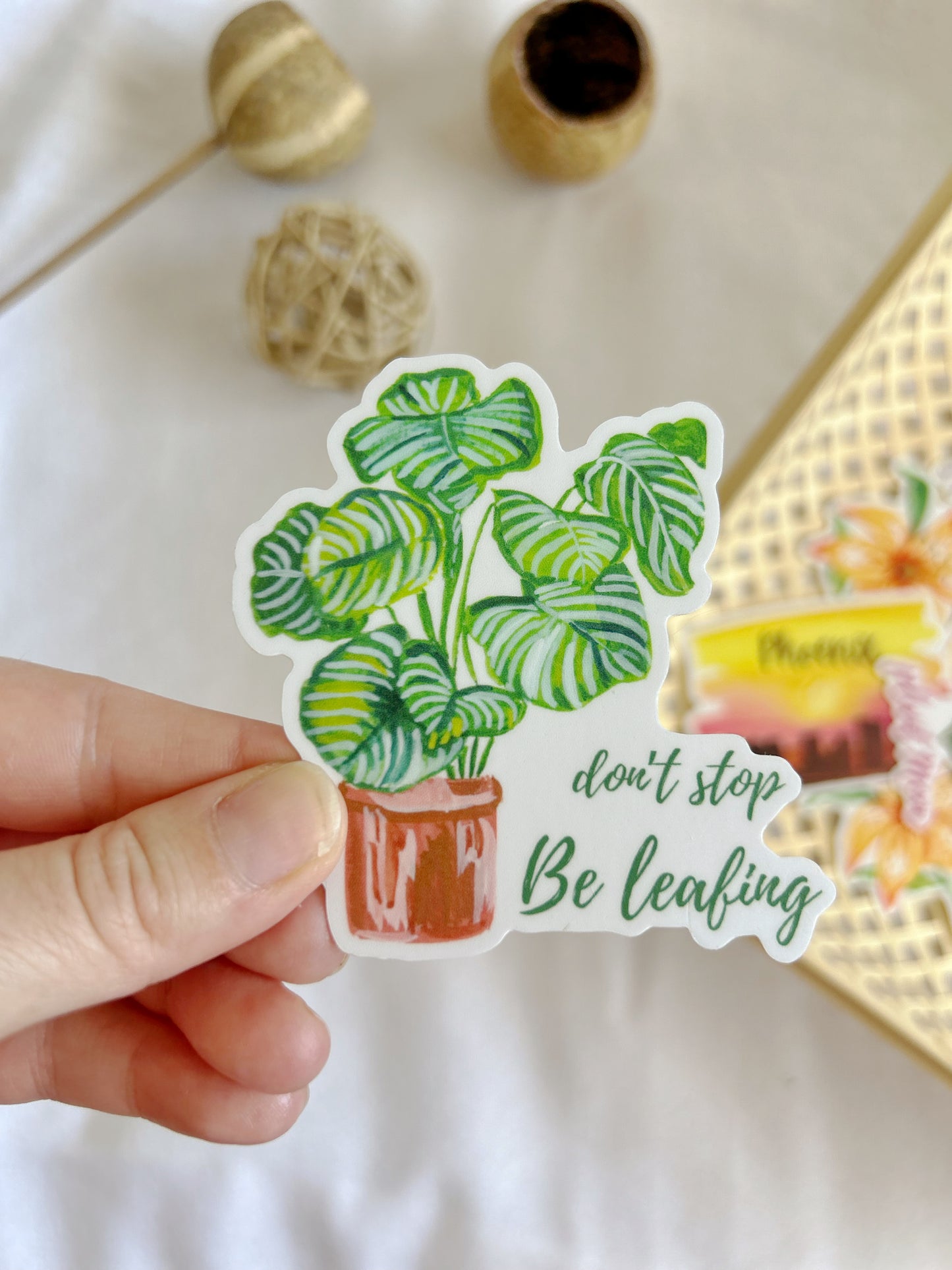 Calathea plant Vinyl Sticker