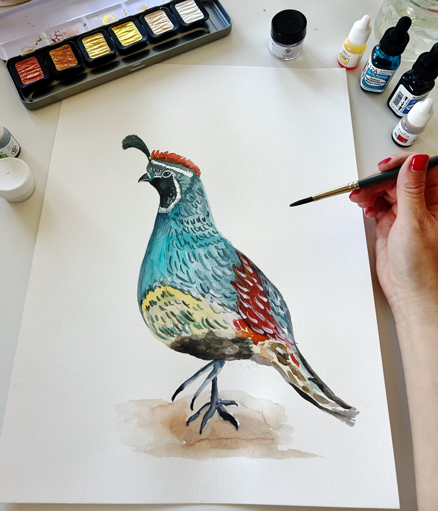 Watercolor Gambel's Quail  original