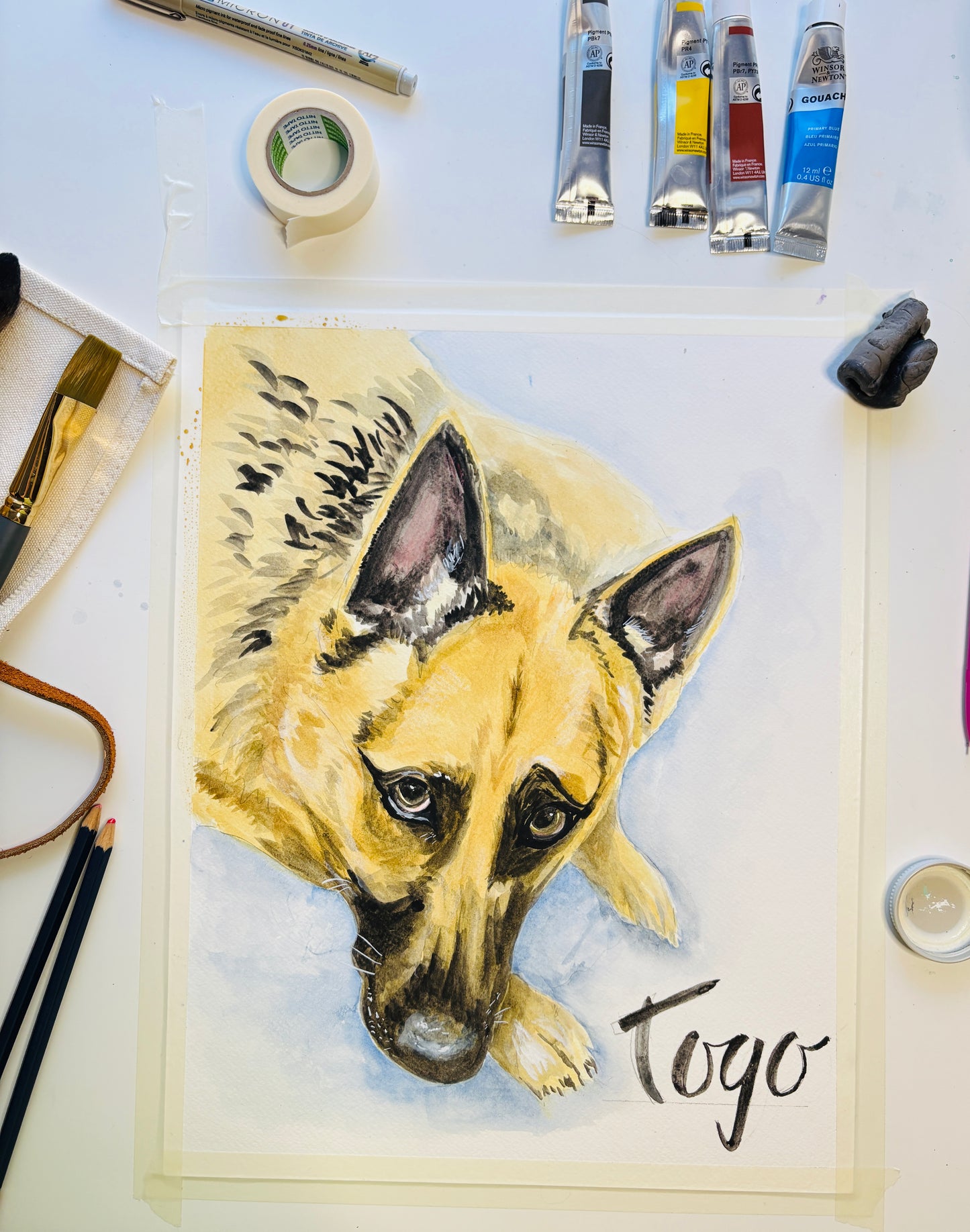 Custom Pet Portrait from Photo – Watercolor or Oil Pastel | Vibrant Modern Pet Art