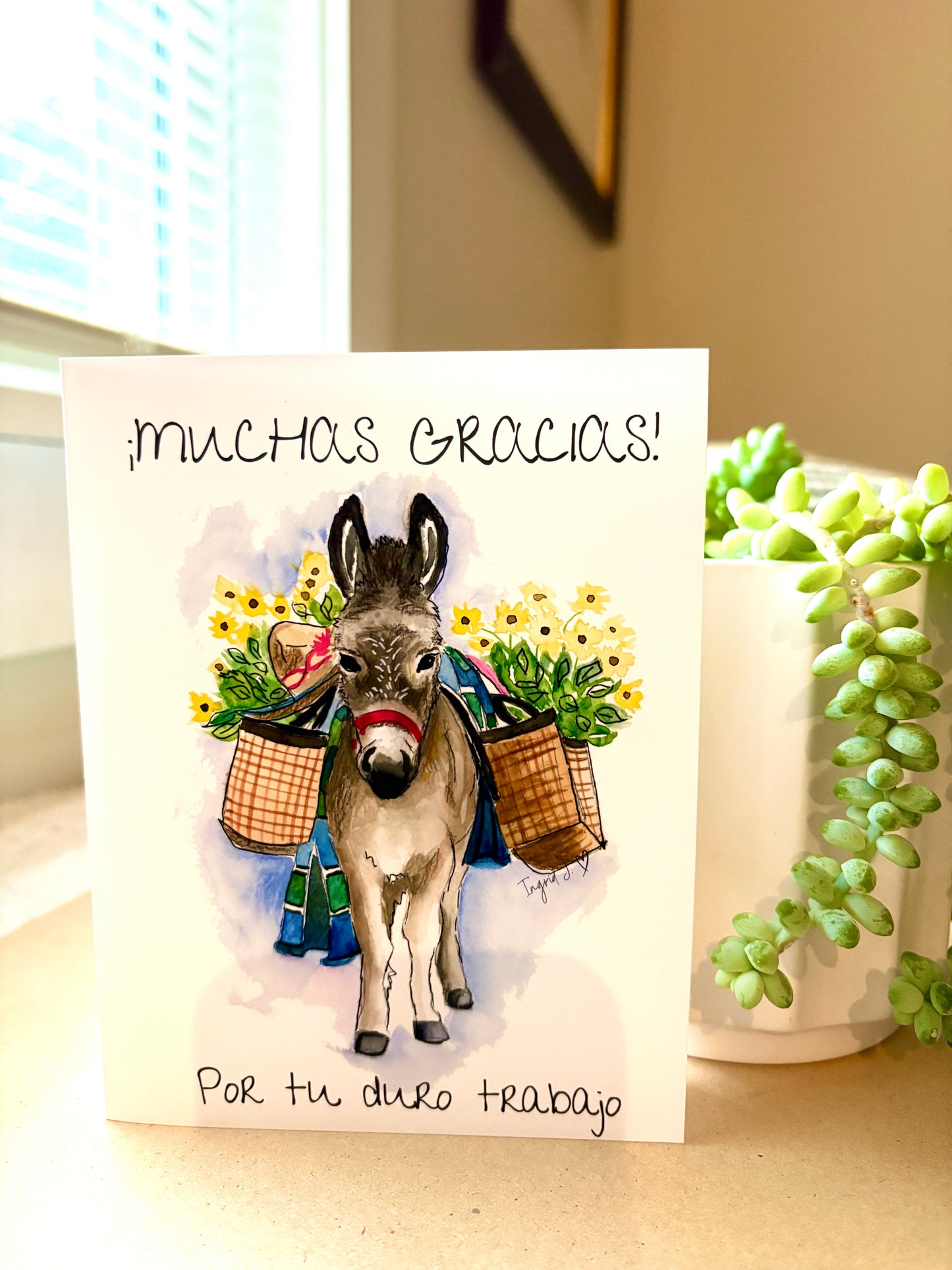 Cute Donkeys Greeting Cards Set of 3