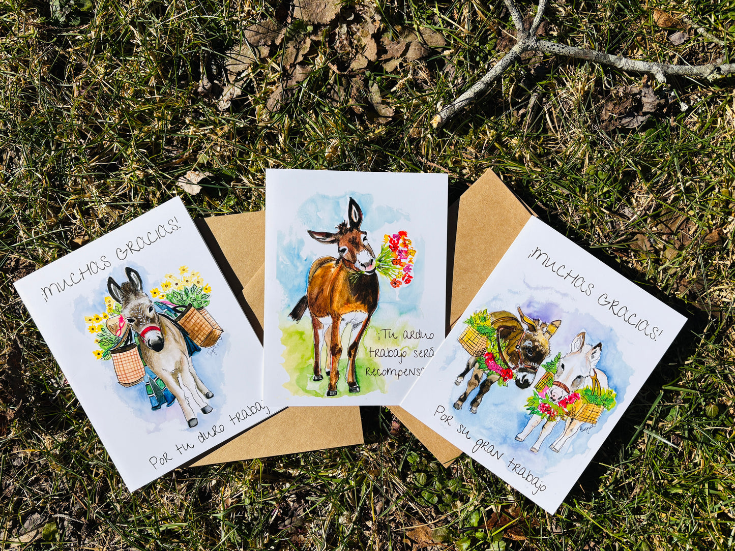 Cute Donkeys Greeting Cards Set of 3