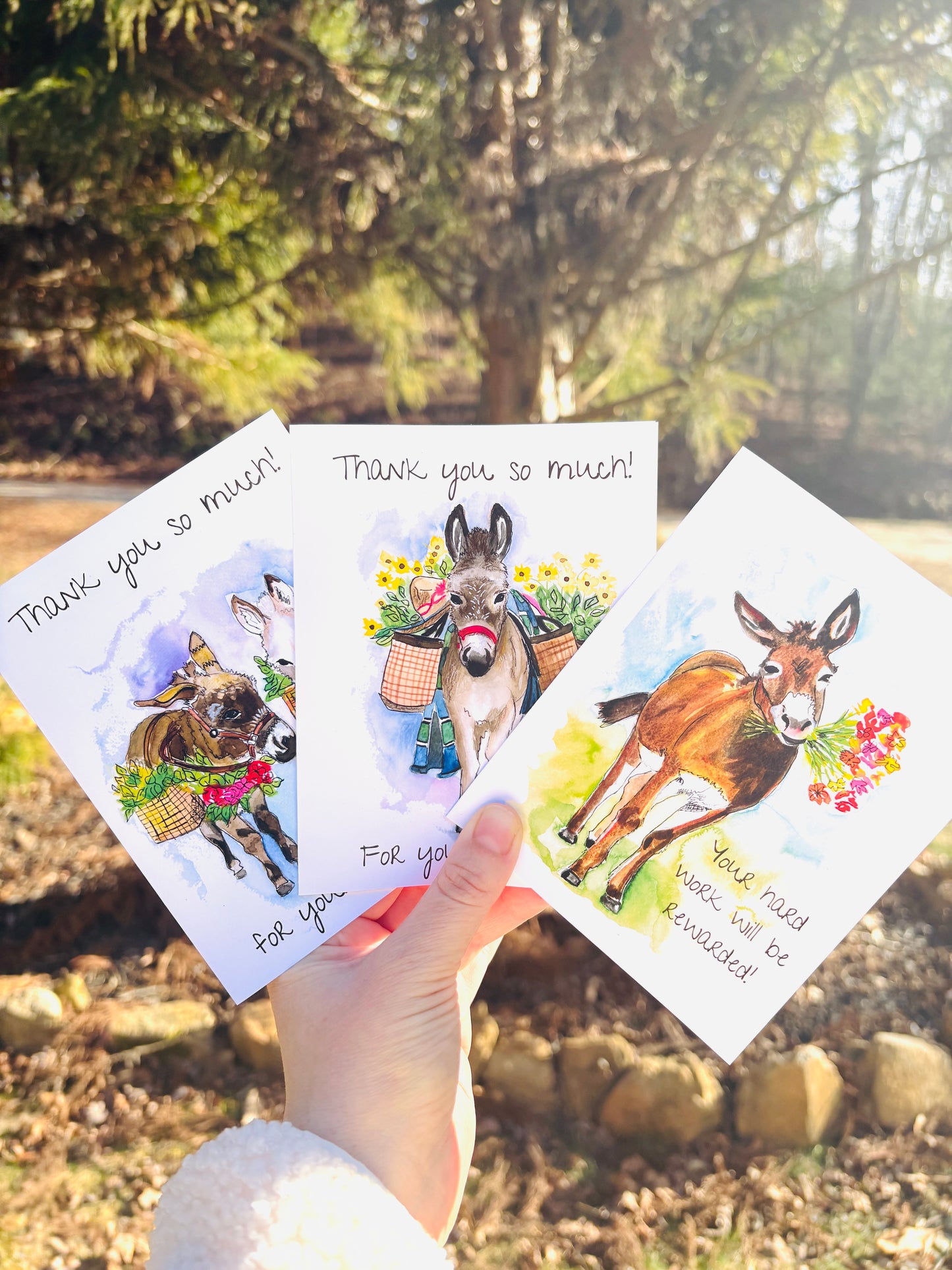 Cute Donkeys Greeting Cards Set of 3