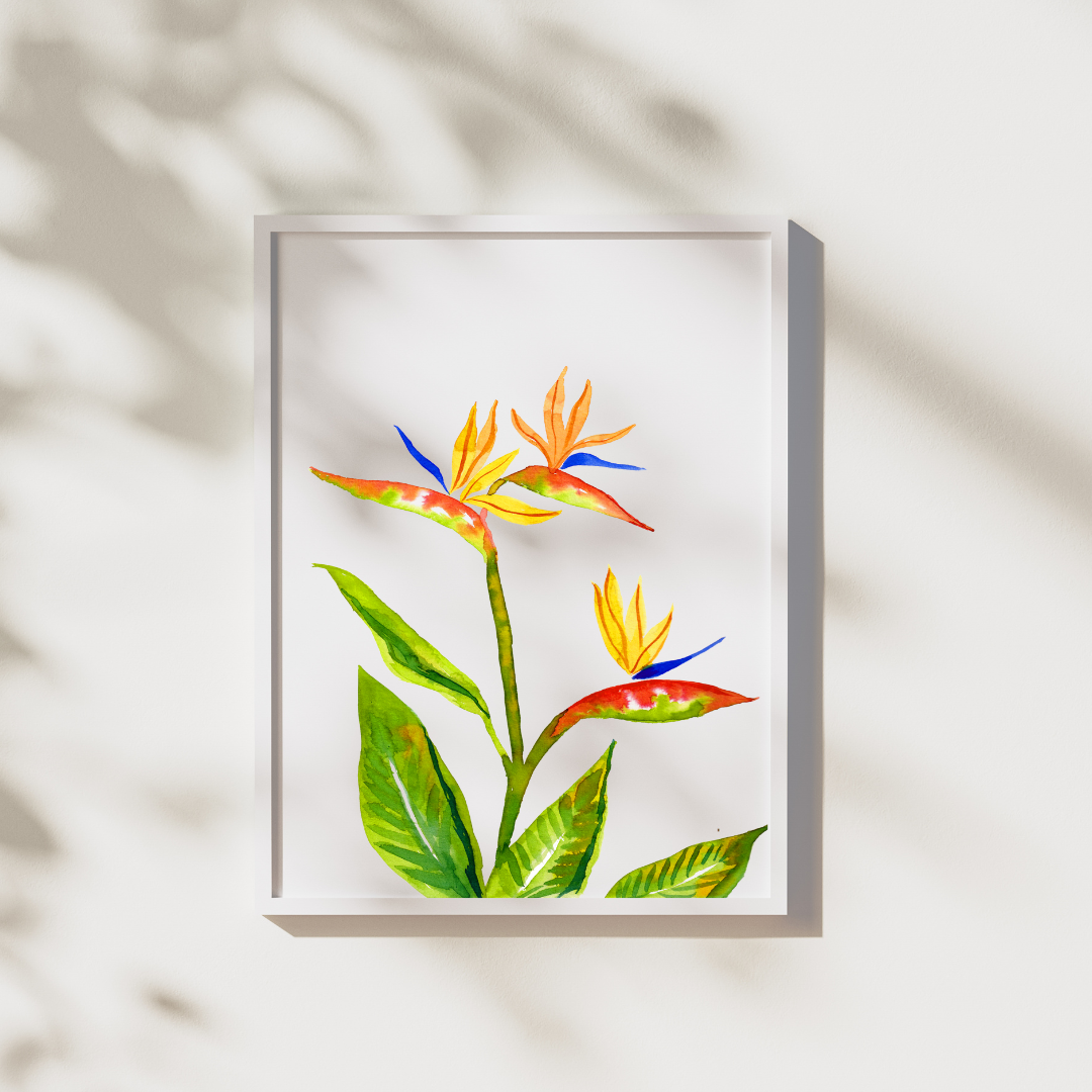 Bird of Paradise Flower Watercolor Print