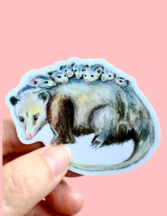Possum Mama sticker featuring a reproduction of original possum artwork, celebrating opossums as friendly garden visitors and backyard wildlife.