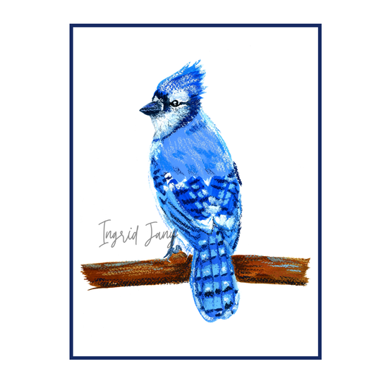 Oil Pastels Blue Jay Drawing Print