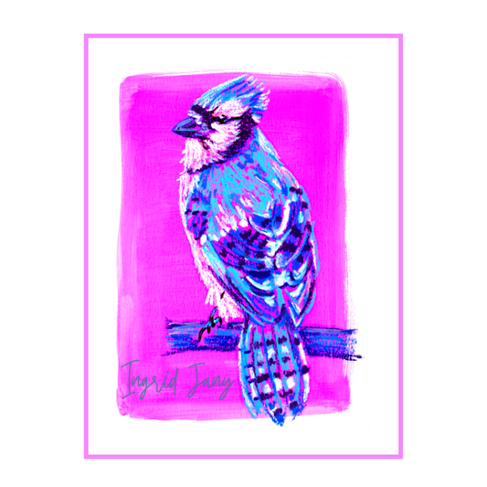 Blue Jay Bird  Oil Pastel Print