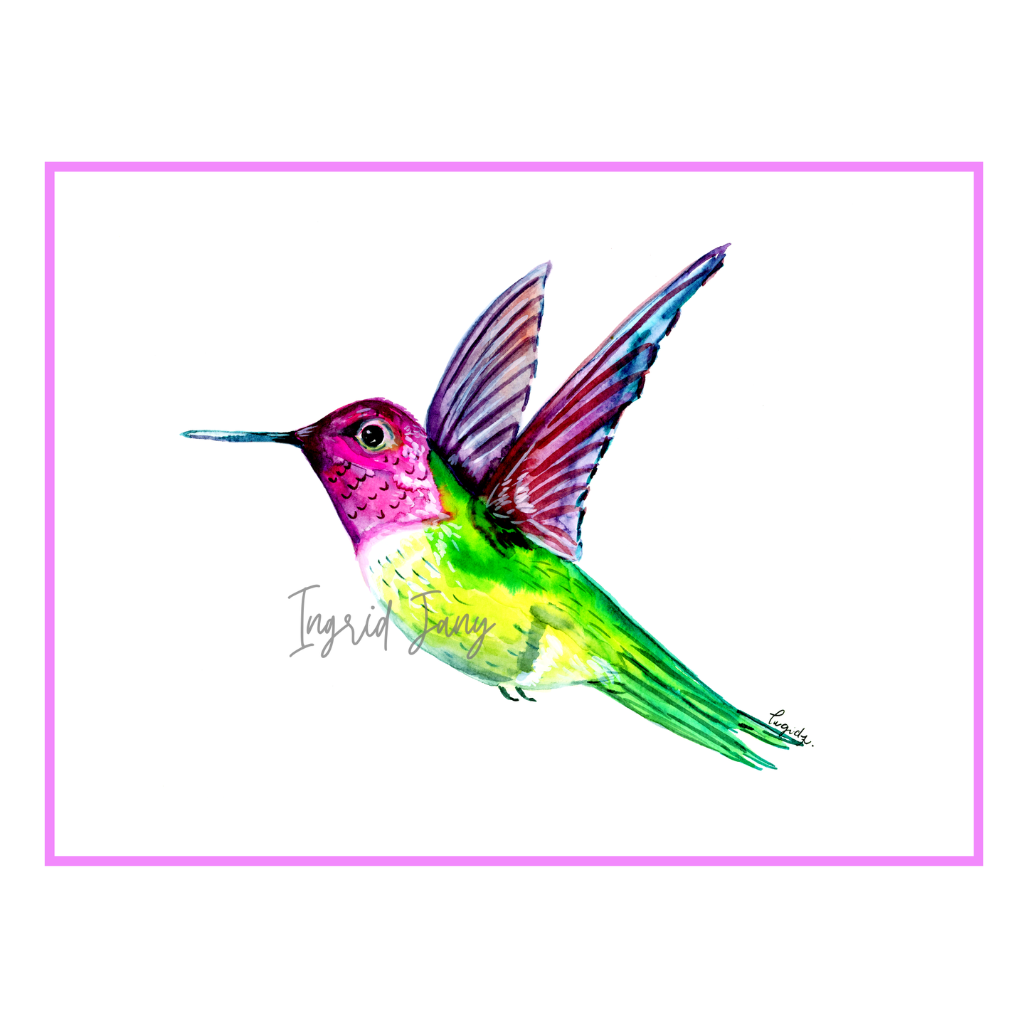 Anna's Hummingbird Watercolor Art Print