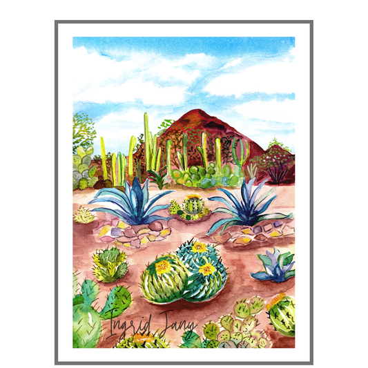 Desert Botanical Garden Phoenix Print