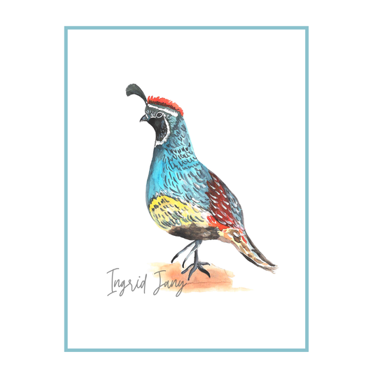 Arizona Quail Art Print