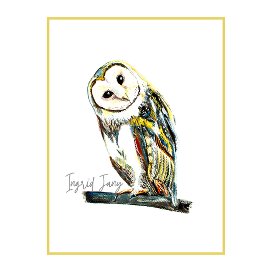 Oil Pastels Owl drawing Print