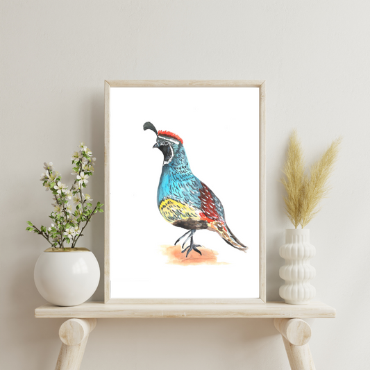 Arizona Quail Art Print