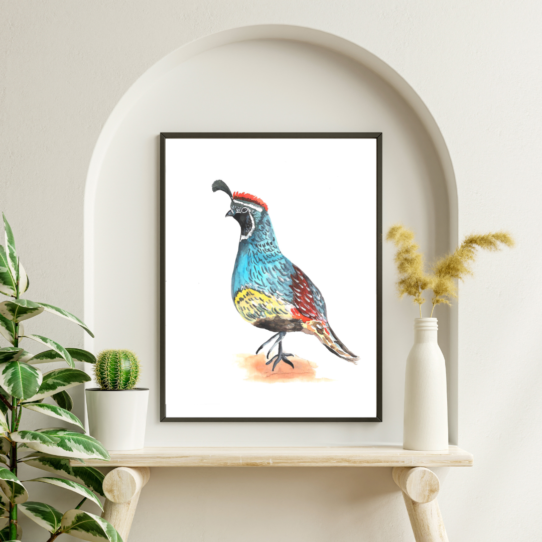 Arizona Quail Art Print