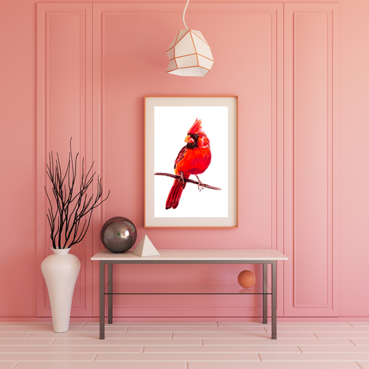 Cardinal oil pastel print