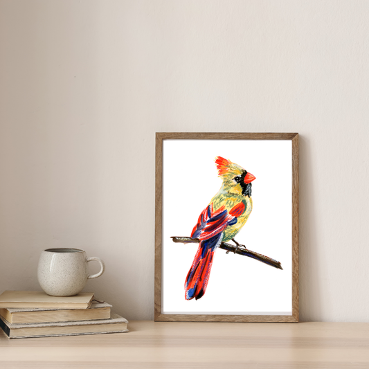 Female Cardinal Oil Pastels Print