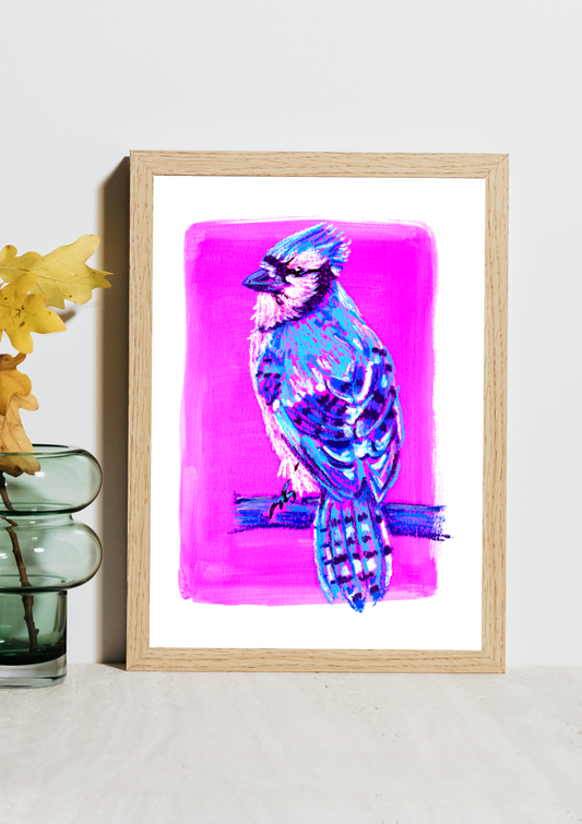Blue Jay Bird  Oil Pastel Print