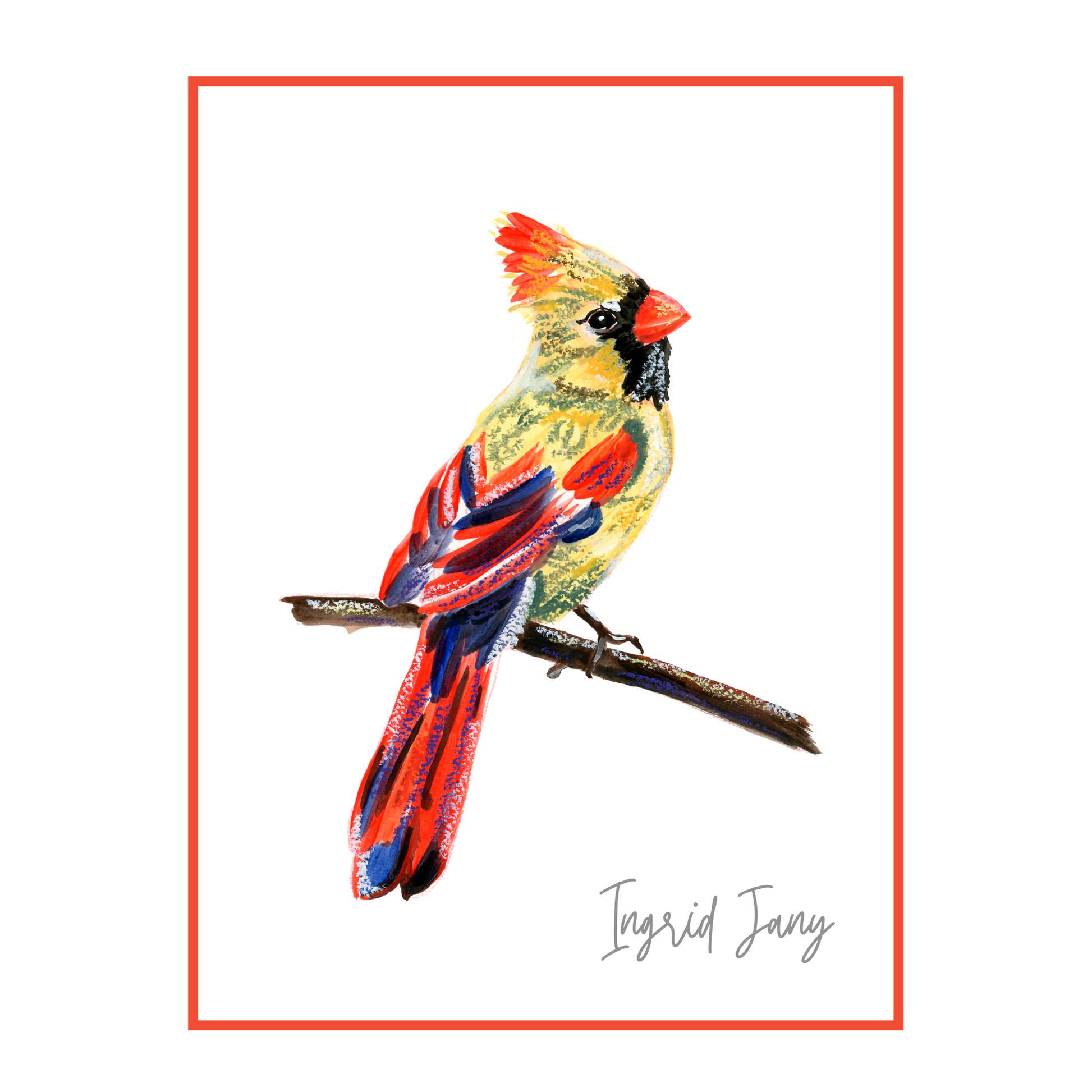 Colorful bird illustration on a white background with 'Ingrid Jany' signature.