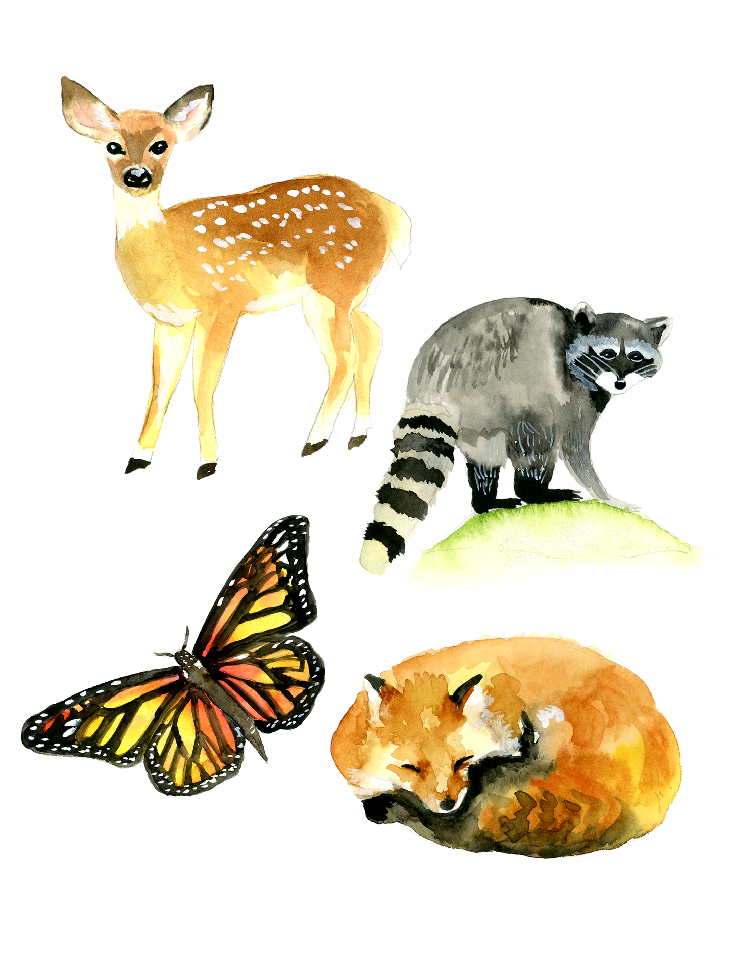 Watercolor Mini Kits – Beginner-Friendly