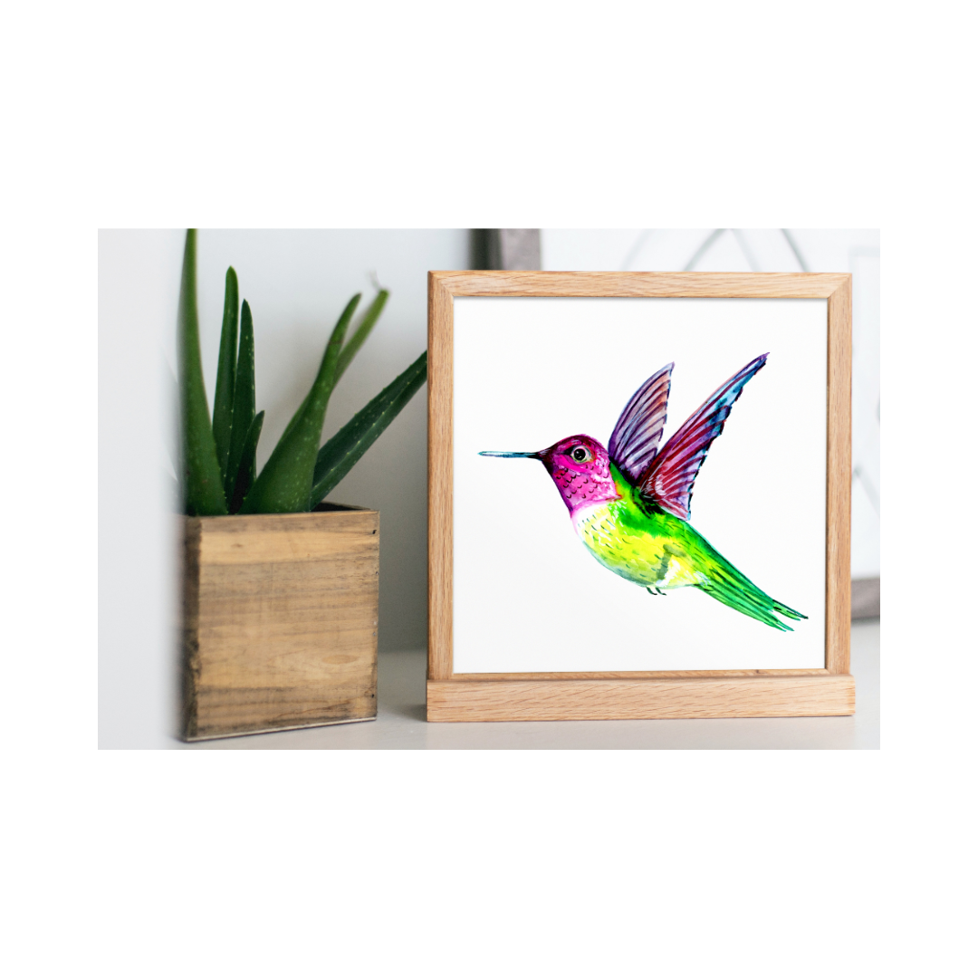 Anna's Hummingbird Watercolor Art Print