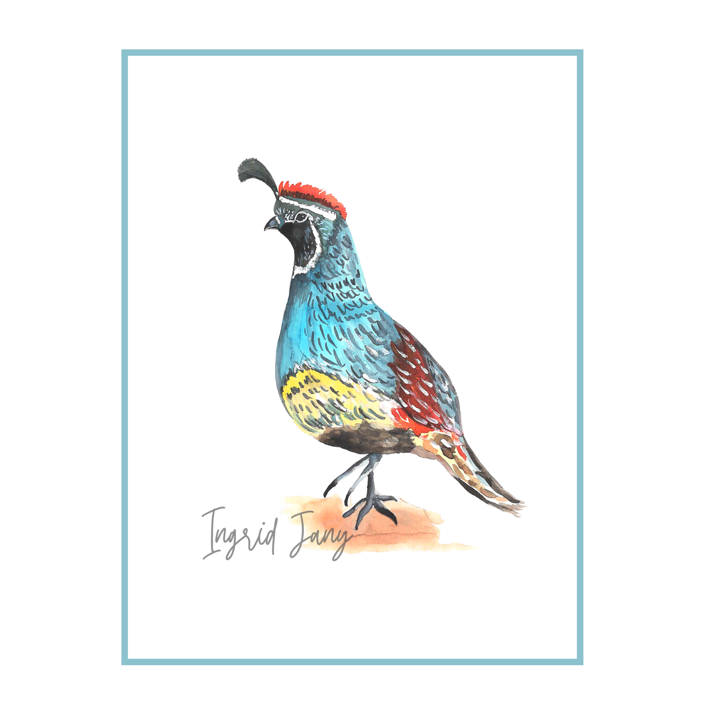 Colorful quail  illustration with a signature at the bottom on a white background