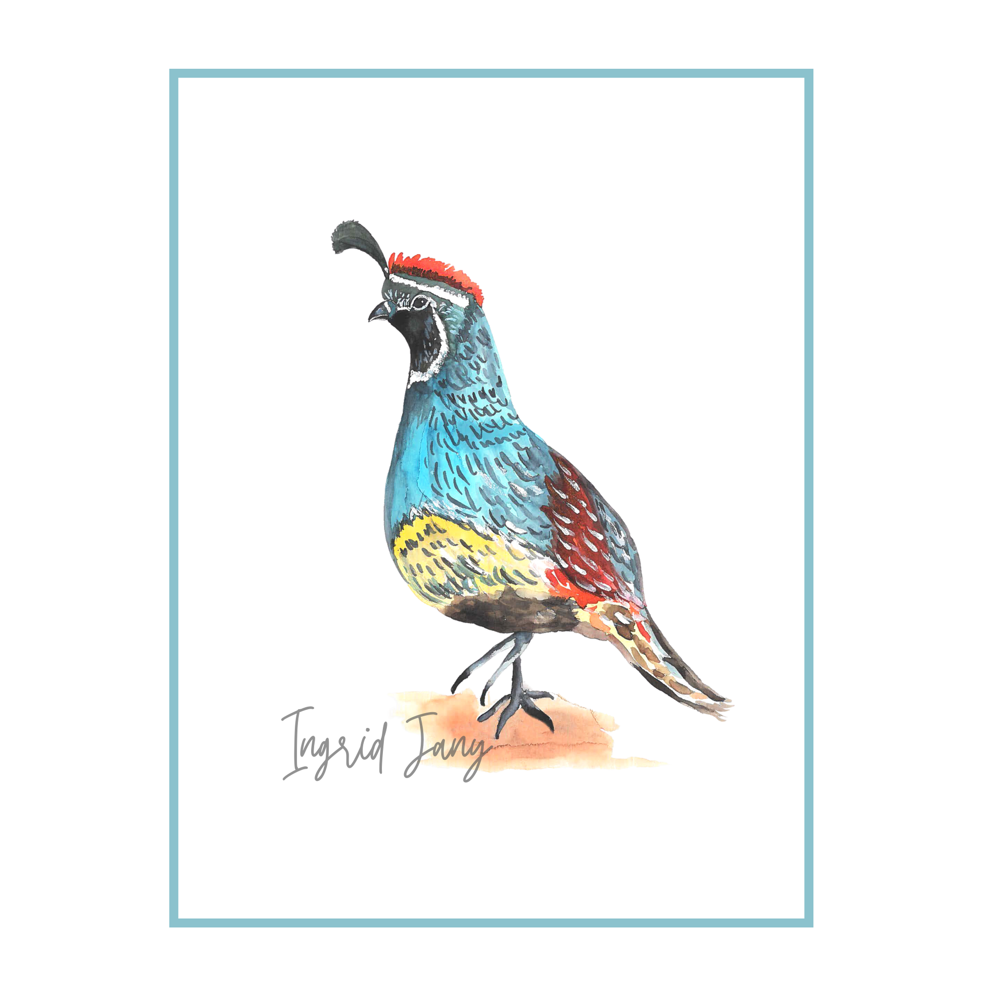Colorful quail  illustration with a signature at the bottom on a white background