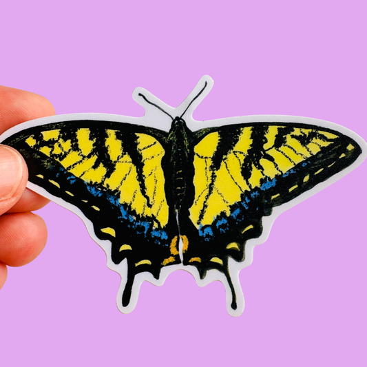 Tiger swallowtail Butterfly Sticker