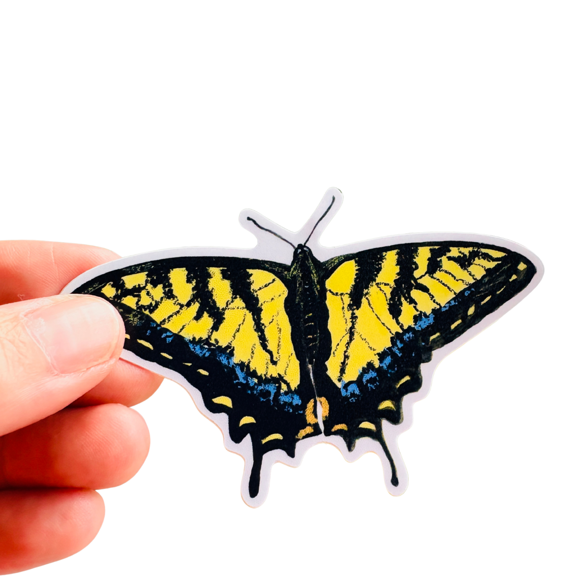 Tiger swallowtail Butterfly Sticker