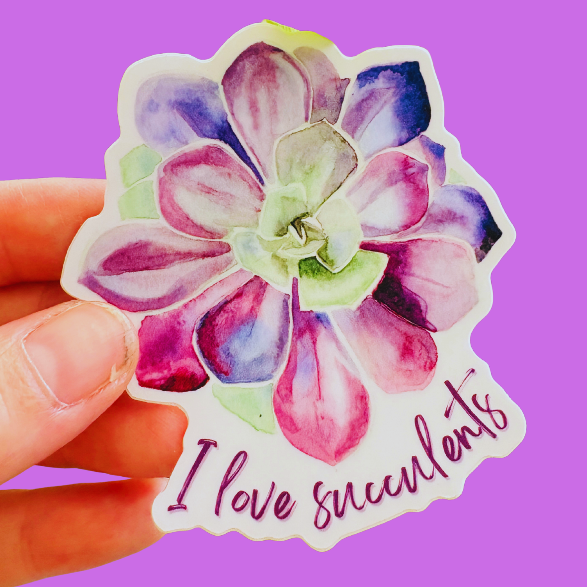 Succulent Vinyl Sticker