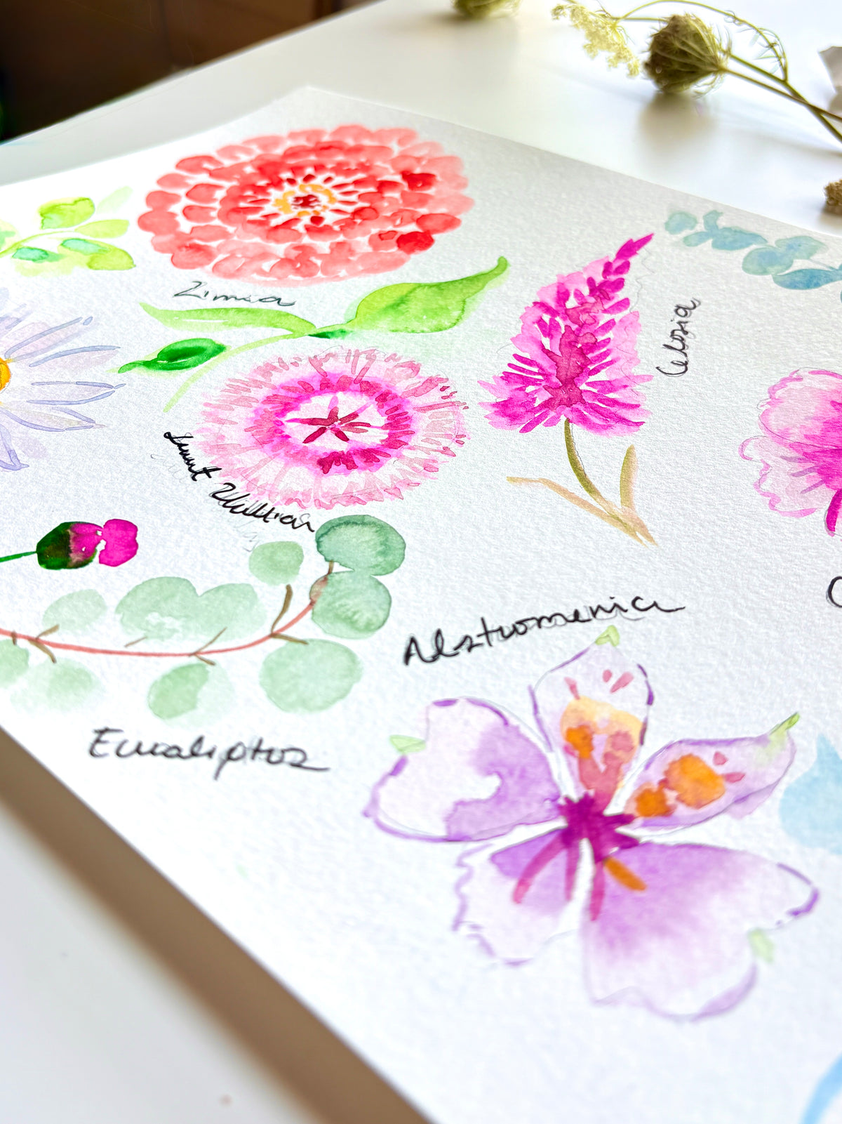 A close-up of a watercolor painting on textured white paper, featuring various colorful flowers with handwritten labels in black ink, set on a light surface with dried flowers in the background.